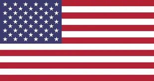 american flag-Desplaines