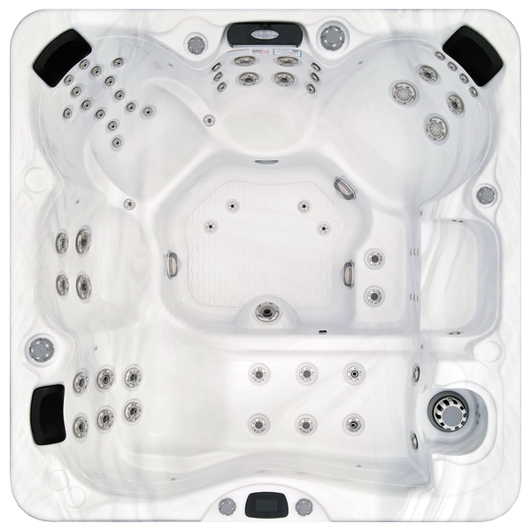 Avalon-X EC-867LX hot tubs for sale in Desplaines